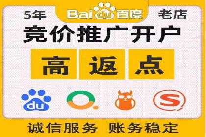 成功案例：网络推广与竞价广告的完美结合